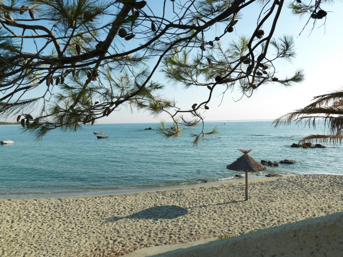 Bagheera Village Naturiste Linguizzetta エクステリア 写真